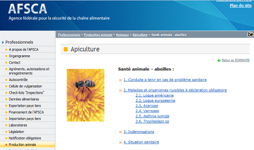 thumbnail - AFSCA - apiculture et programme de surveillance des maladies des abeilles